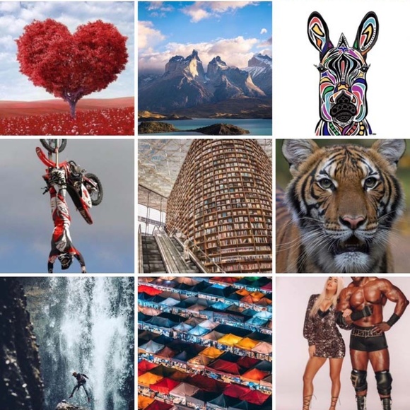 Meet your Posher, Ogee - Picture 15 of 15